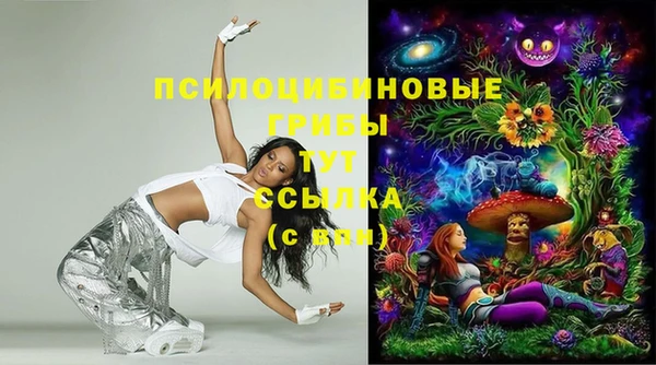 шишки Абдулино