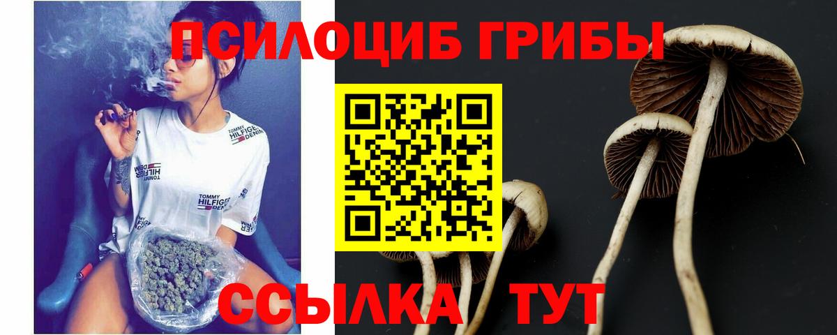 Псилоцибиновые грибы ЛСД  Галлюциногенные грибы MAGIC MUSHROOMS  Сальск  Вход с VPN 